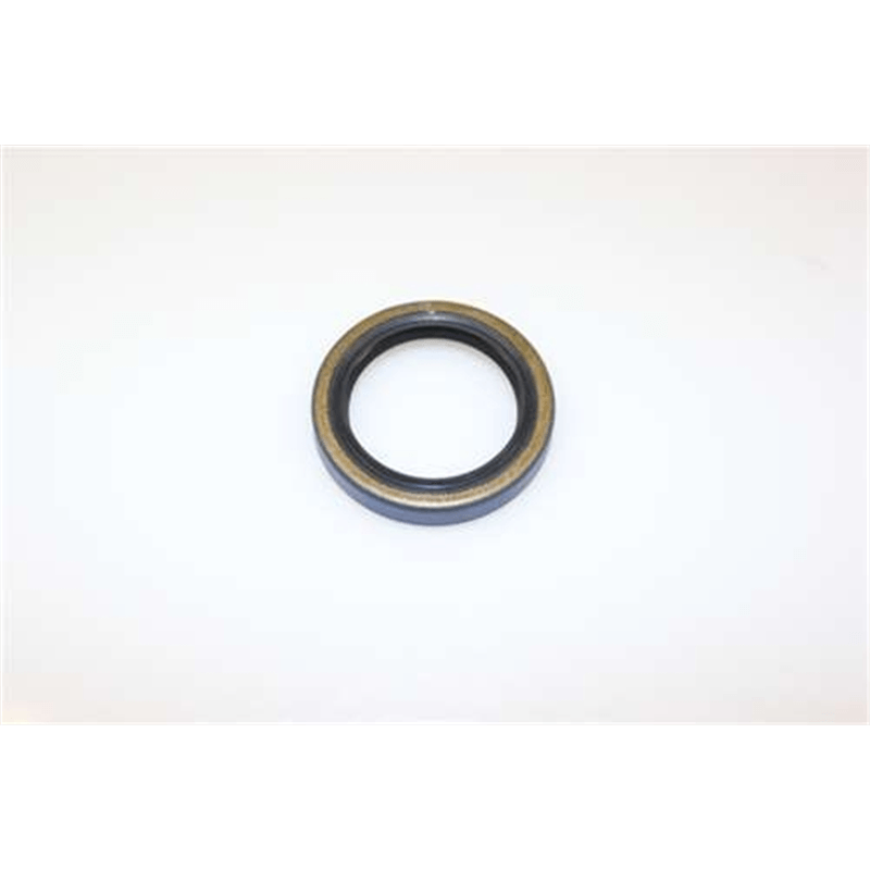 Snow Blower Oil Seal - 05618800