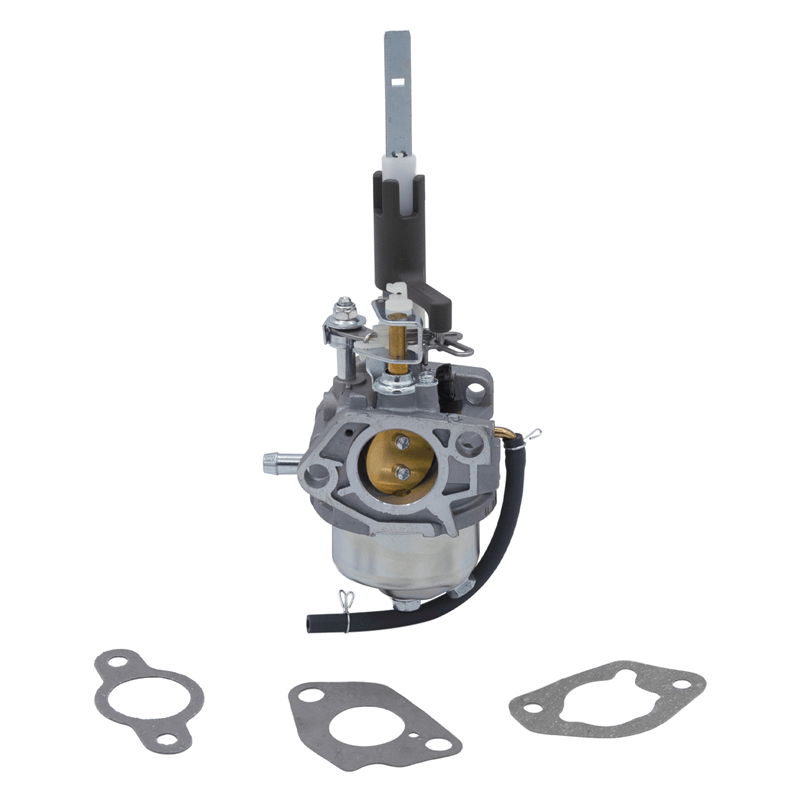 Idle-Down Carburetor Assembly with Gaskets - 20001401