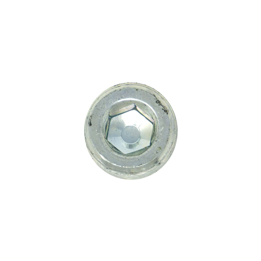 Drain Plug Magnet - HYD01712