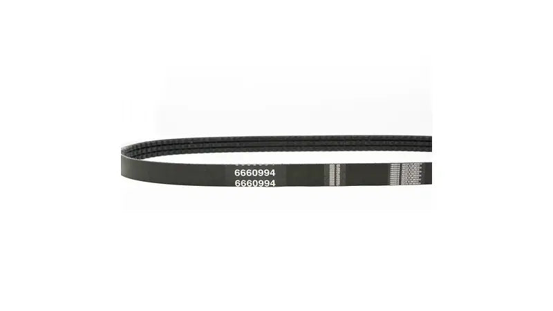Drive Belt - 6660994