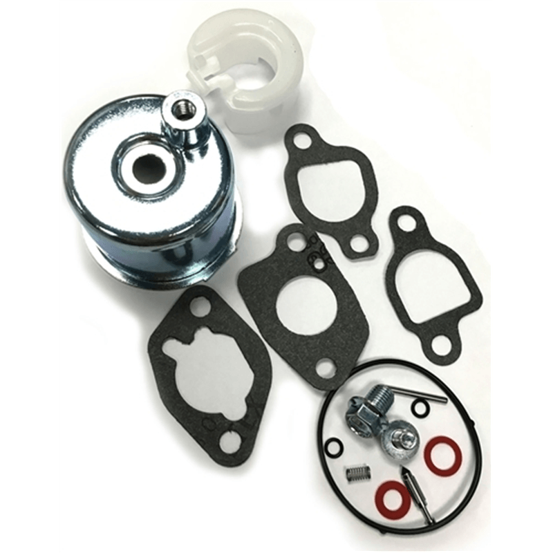 Snow Blower Carburetor Repair Kit - 20001441