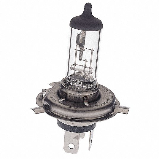 Bulb(29E) - H-4-06055