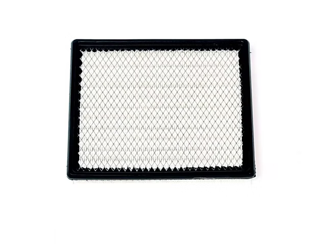 Segway Fugleman / Villain Air Filter  - S03A207B0001