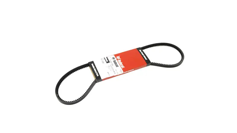 Alternator Belt - 7100104